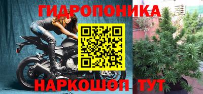 гидропоника Брянск