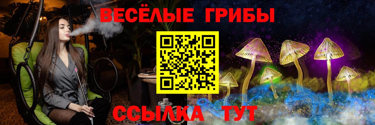 Галлюциногенные грибы Psilocybine cubensis Феодосия